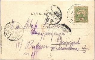 Temesvár, Timisoara; Gyárváros, Andrássy út, villamos. Moravetz Testvérek kiadása / street view, tra...