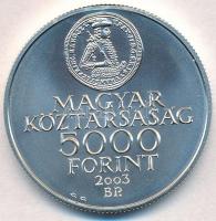 2003. 5000Ft Ag "Rákóczi szabadságharc 300. évfordulója" tanúsítvánnyal T:BU
Adamo EM186