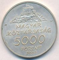 2003. 5000Ft Ag "Hollókő" T:BU
Adamo EM185