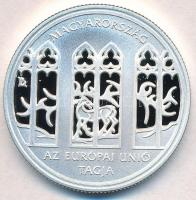 2004. 5000Ft Ag Magyarország az Európai Unió tagja T:PP  Adamo EM190