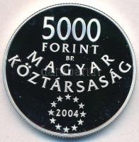2004. 5000Ft Ag "Magyarország az Európai Unió tagja" T:PP 
Adamo EM190