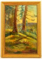 Sztelek Norbert (1884-1956): Erdőrészlet, olaj, vászon, fa keretben, 59×39 cm