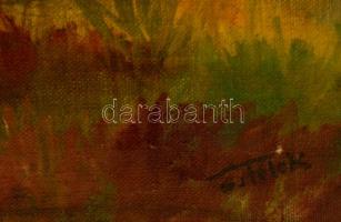 Sztelek Norbert (1884-1956): Erdőrészlet, olaj, vászon, fa keretben, 59×39 cm