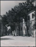 cca 1938 Korschelt Miklós (1900-1982) Győrben készített, pecséttel jelzett vintage fotói, 5 db fényk...