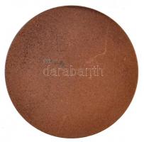 Tóth Sándor (1933-) 1983. "Juhász Gyula" egyoldalas Br emlékérem (42,5mm) T:2 kis ph