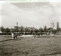 cca 1968 Kecskeméti városképek éjjel és nappal, épületek kívülről és belülről, 13 db vintage negatív...