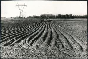 cca 1971 Zsigri Oszkár (1933-?) budapesti fotóművész hagyatékából 3 db jelzés nélküli vintage alkotá...