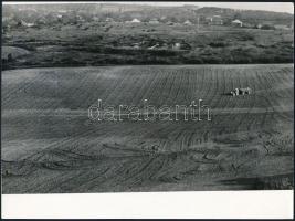 cca 1971 Zsigri Oszkár (1933-?) budapesti fotóművész hagyatékából 3 db jelzés nélküli vintage alkotá...