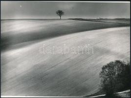 cca 1974 Zsigri Oszkár (1933-?) budapesti fotóművész hagyatékából 3 db jelzés nélküli vintage alkotá...