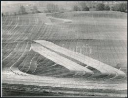 cca 1972 Zsigri Oszkár (1933-?) budapesti fotóművész hagyatékából 3 db jelzés nélküli vintage alkotá...
