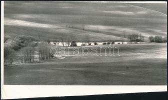 cca 1973 Zsigri Oszkár (1933-?) budapesti fotóművész hagyatékából 3 db jelzés nélküli vintage alkotá...