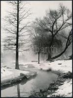 cca 1974 Gebhardt György (1910-1993) budapesti fotóművész hagyatékából 3 db jelzés nélküli vintage a...