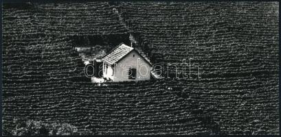 cca 1974 Gebhardt György (1910-1993) budapesti fotóművész hagyatékából 3 db jelzés nélküli vintage a...