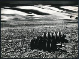 cca 1973 Gebhardt György (1910-1993) budapesti fotóművész hagyatékából 3 db jelzés nélküli vintage alkotás, 18x24 cm és 16x24 cm között