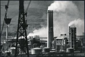 cca 1973 Gebhardt György (1910-1993) budapesti fotóművész hagyatékából 3 db jelzés nélküli vintage a...