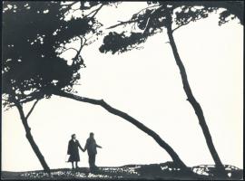 cca 1970 Gebhardt György (1910-1993) budapesti fotóművész hagyatékából 3 db jelzés nélküli vintage a...