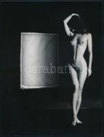 cca 1980 Menesdorfer Lajos (1941-2005) hagyatékából 2 db vintage fotóművészeti alkotás, az egyik pec...