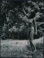 cca 1977 Menesdorfer Lajos (1941-2005) hagyatékából 2 db jelzés nélküli vintage fotóművészeti alkotá...