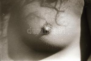 cca 1970 Szabadtéri aktfotózás, 30 db vintage negatív, 24x36 mm