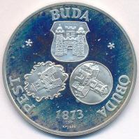 Csúcs Viktória (1934-) 1973. Pest-Buda-Óbuda egyesítésének centenáriuma / Pro memor urbe centen Ag emlékérem (21,23g/0.835/42,5mm) T:1-(PP)
