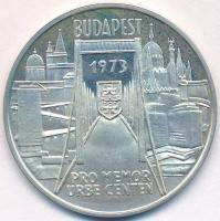 Csúcs Viktória (1934-) 1973. "Pest-Buda-Óbuda egyesítésének centenáriuma / Pro memor urbe cente...