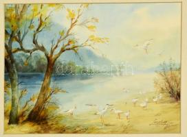 B. Lazetzky Stella (?-?): Madarak a vízparton, akvarell, papír, jelzett, paszpartuban, 29×38,5 cm