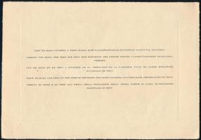 Pest-Buda látképe a Pesti Hazai Első Takarékpénztár alapítása idejében, színes nyomat, hátulján feli...