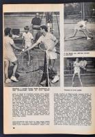 1971 Sportélet. VII. teljes évf., 1971. január-december 1-12. Tűzött papírkötés. Jó állapotban