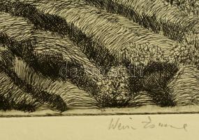 Weisz Zsuzsa (1925-): Árvíz a földeken. Rézkarc, papír, jelzett 30x40 cm