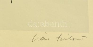 Iván Szilárd (1912-1988): Fiú. Szitanyomat, papír. Jelzett, 45x30 cm