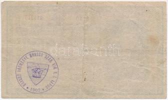 1918. 25K "3110" 3mm hullámos hátlap, "Brassó Vármegye Brassó Szab. Kir. R. T. Város ...