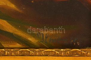 Olvashatatlan jelzéssel: Keleti szépség. Olaj, vászon, keretben, 60×50 cm