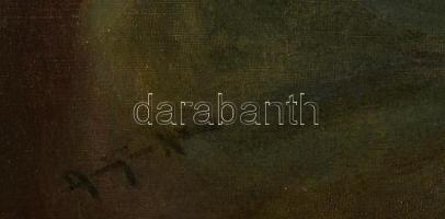 Olvashatatlan jelzéssel: Női portré. Olaj, vászon, keretben, 60×50 cm