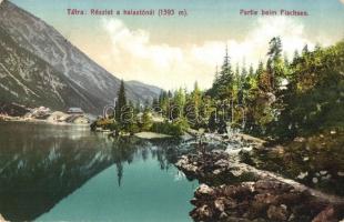 Tátra, Részlet a halastónál. Cattarino S. utóda, Földes Samu kiadása / Partie beim Fischsee / lake (EK)