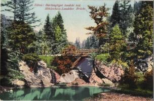 Tátra, Barlangliget-landoki híd. Cattarino S. utóda, Földes Samu kiadása / Höhlenhain-Landoker Brücke / bridge (EK)