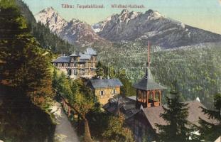 Tátra, Tarpatakfüred, nyaralók, Cattarino S. utóda, Földes Samu kiadása / Wildbad-Kohlbach / villas (EK)