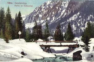 Tátra, Tarpatakvölgy, híd. Cattarino S. utóda Földes Samu kiadása / Partie im Kolbachtal / valley, bridge