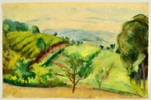 Ducsay Béla (1893-1967): Zebegény. Akvarell, papír, jelzett, 31×48 cm