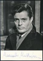 Marcello Mastroianni (1924-1996) olasz színész aláírása az őt ábrázoló fotón / autograph signature