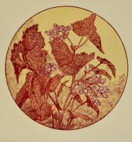 Németh András (1941-): Növény. Színes linó, papír, jelzett, d:33 cm
