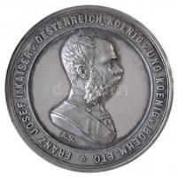 Ausztria 1873. "Ferenc József / Rotunda - Világkiállítás Bécs 1873" Zn emlékérem (34mm). S...