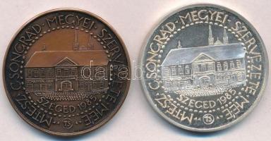Tóth Sándor (1933-) 1985. "MÉE Szeged / Vedres István" Ag és Br emlékérem pár (36g/42,5mm)...