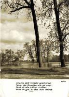 48db képeslap, fotólap, levelezőlap, üdvozlőkártya stb. főleg régi