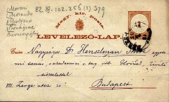 48db képeslap, fotólap, levelezőlap, üdvozlőkártya stb. főleg régi