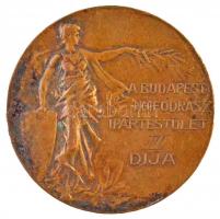 1931. "A Budapesti Nőifodrász Ipartestület III. díja" Br díjérem (40mm) T:2,2- ph., patina