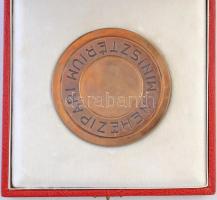 Jármai Gábor DN "Nehézipari Minisztérium" Br plakett tokban (89mm) T:2 patina