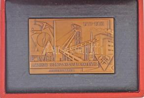 1953. A magyar szénbányászat 200 éves jubileumára 1753-1953 Br plakett tokban (100x65mm) T:2