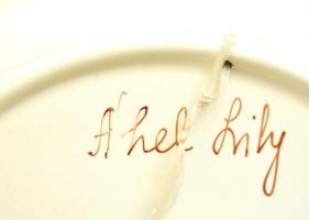 Áhel Lily (1932- ): Virágmintás kerámia tányér, kézzel festett, jelzett, apró kopásokkal, d: 23 cm