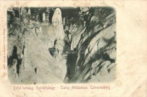 Tátra, Höhlenhain; Bélai Cseppkőbarlang, Kálváriahegy / stalactite cave (fl)