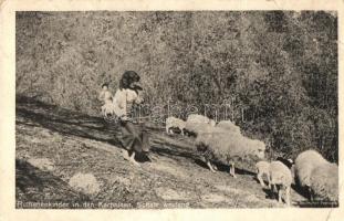 15 db régi történelmi magyar városképes lap Kárpátaljáról (Ungvár, Beregszász, Munkács, Nagyberezna,...